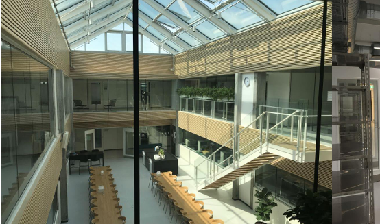 Syddansk Universitet