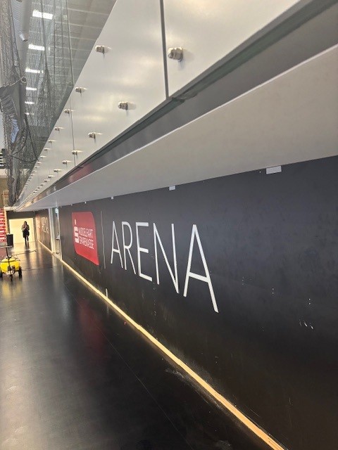 MS Arena